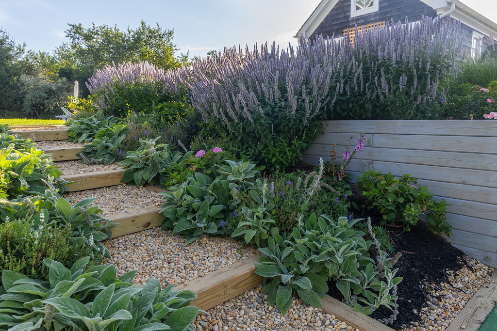 Thumb_v7a6262_54732519447_l