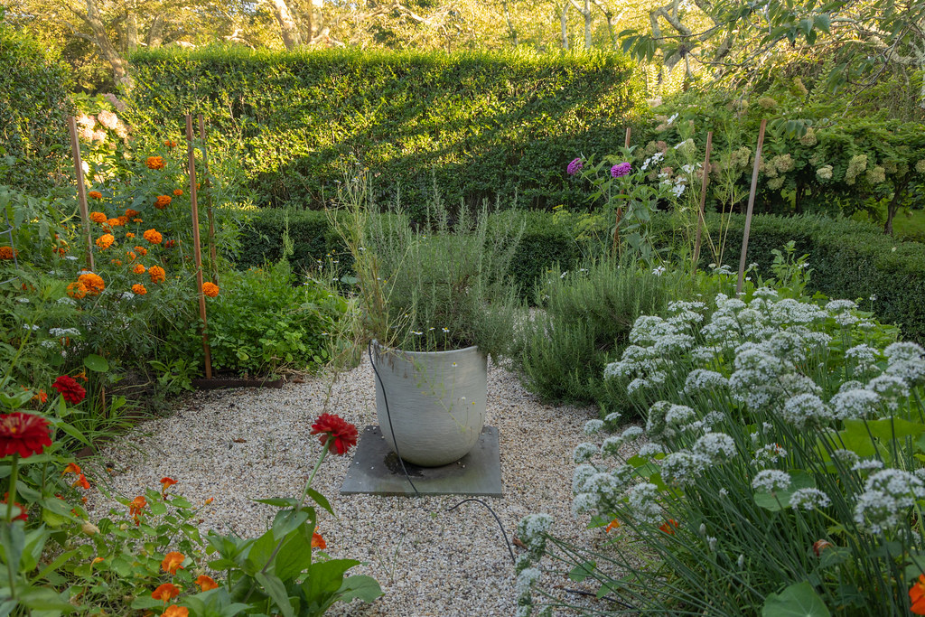 Thumb_v7a7072_54765738891_l